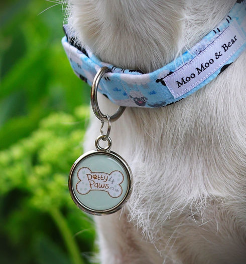 dotty4paws - custom logo dog tag 3.jpeg