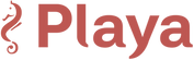 logos digitais Playa.png