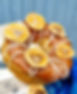 IMG-20230513-WA0019-01.jpeg