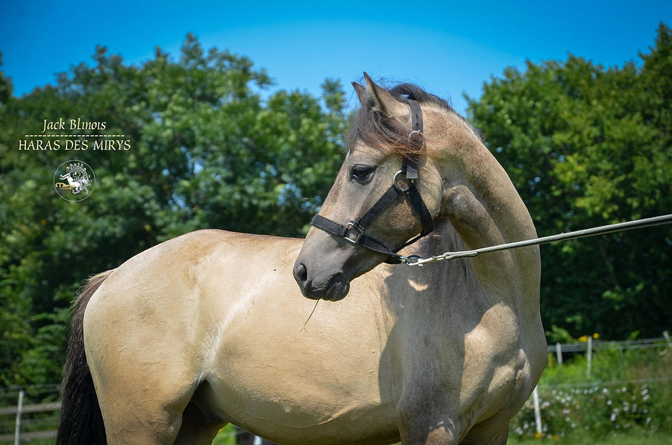 218988232_10224573773726060_7258903155430115179_n