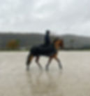 Miniature : WET CAPE