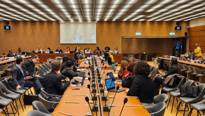CEDAW recomenda ao governo brasileiro que revogue a Lei de Alienação Parental
