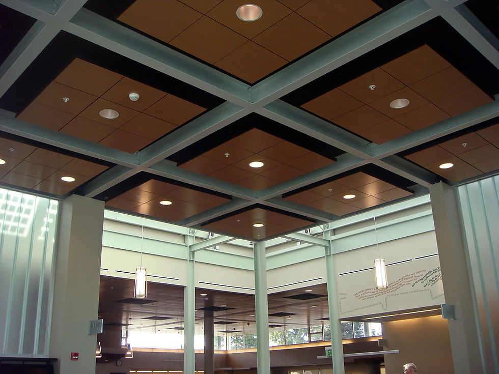 TrayCeiling