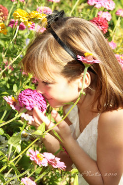 tlrphoto-sameit37.jpg