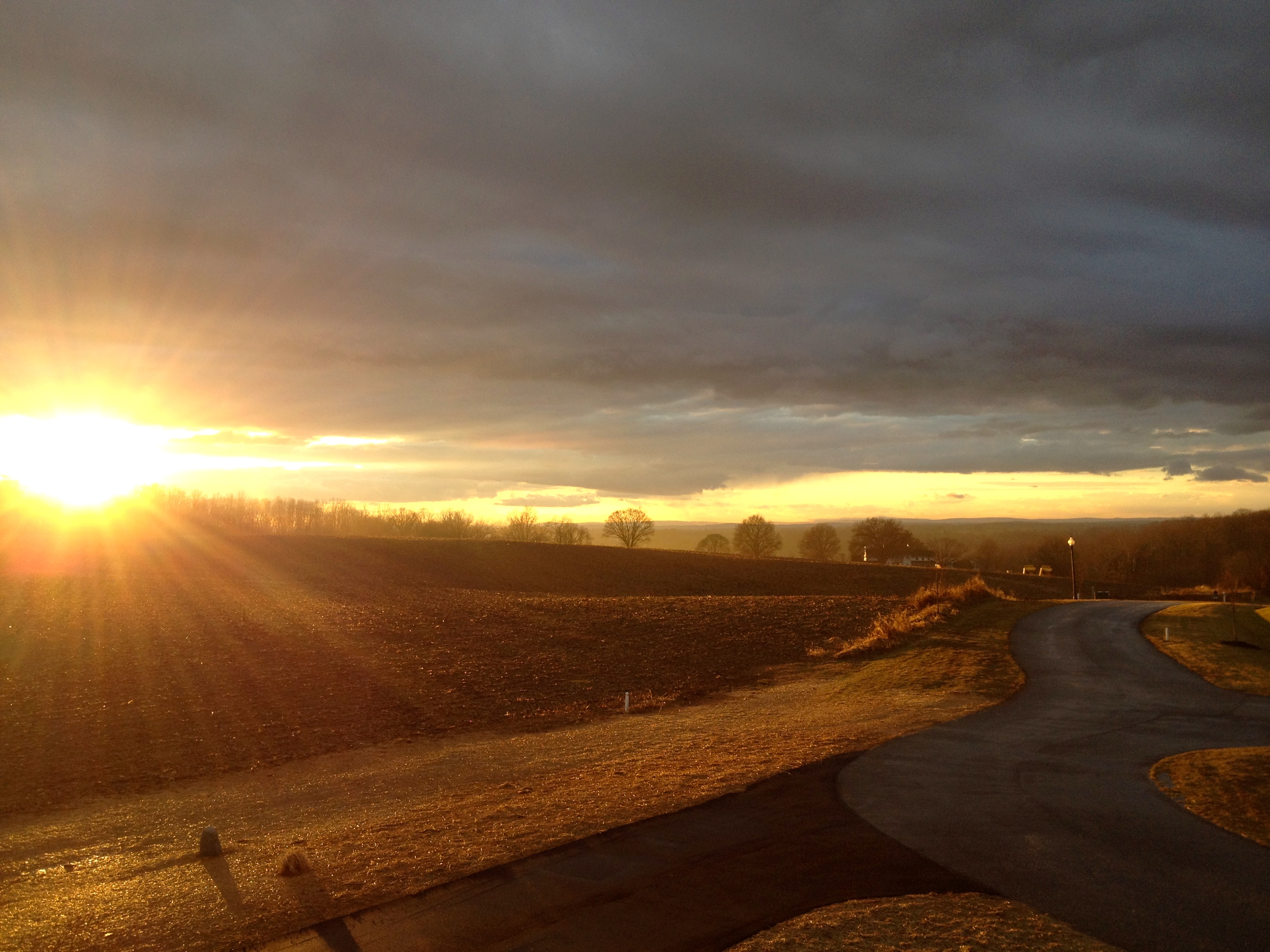Sunset View