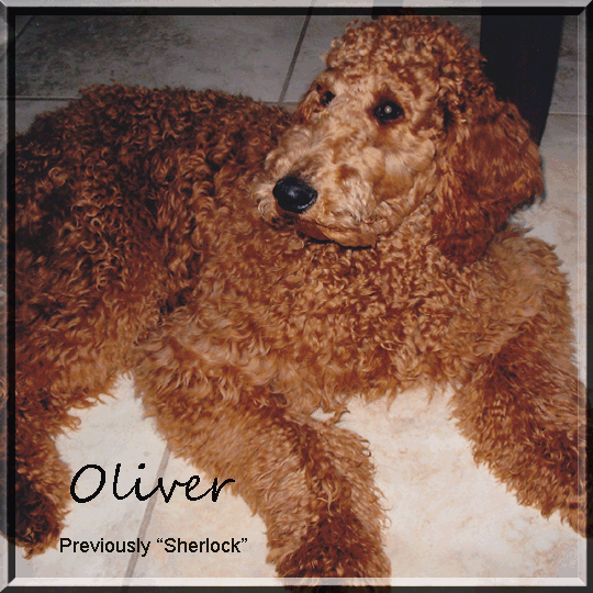Oliver -Gary n MaryJane Lockwood.gif