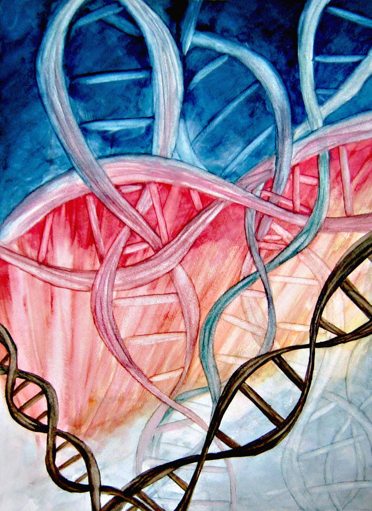 Born Connections