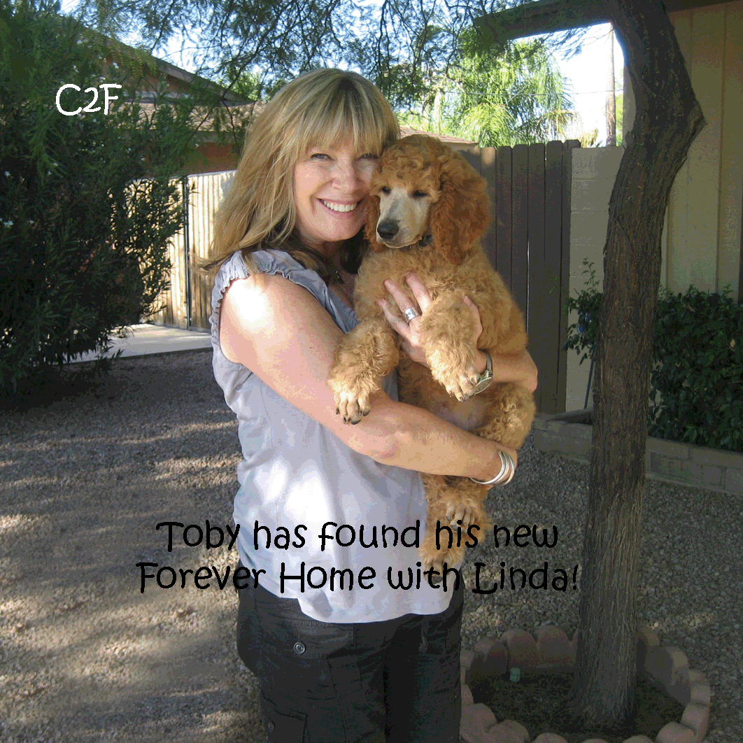 Toby n Linda final copy.gif