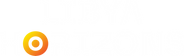 LH white logo.png