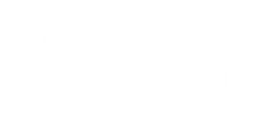 transparent white color (3).png