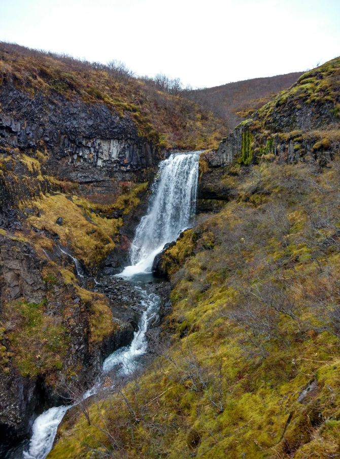 Quelques images en direct d'Islande