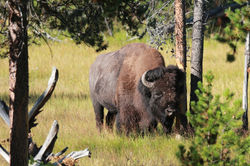 West USA 2013014.JPG