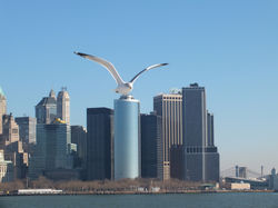 New-york 2012005.JPG