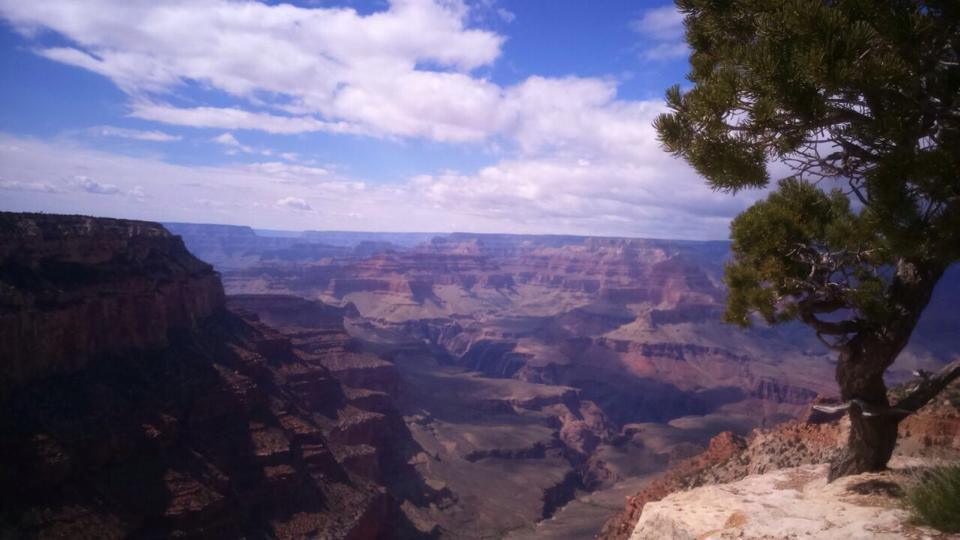 11156935_10205736113898864_1961317094_n.jpg