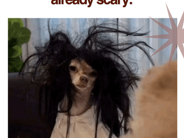 When Halloween vibes hit but your hair is already stealing the spooky show!