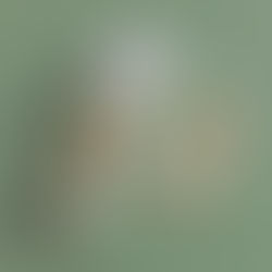 Our Favorite Sustainable Self Care Brands