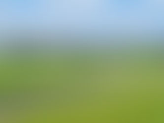 東京都足立区の不動産担保ローン業者おすすめはどこ?貸金業者10社まとめ