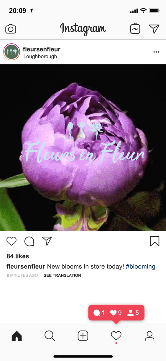 Insta-layout.gif