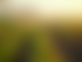 Effective Strategies for Farm Redevelopment Practices