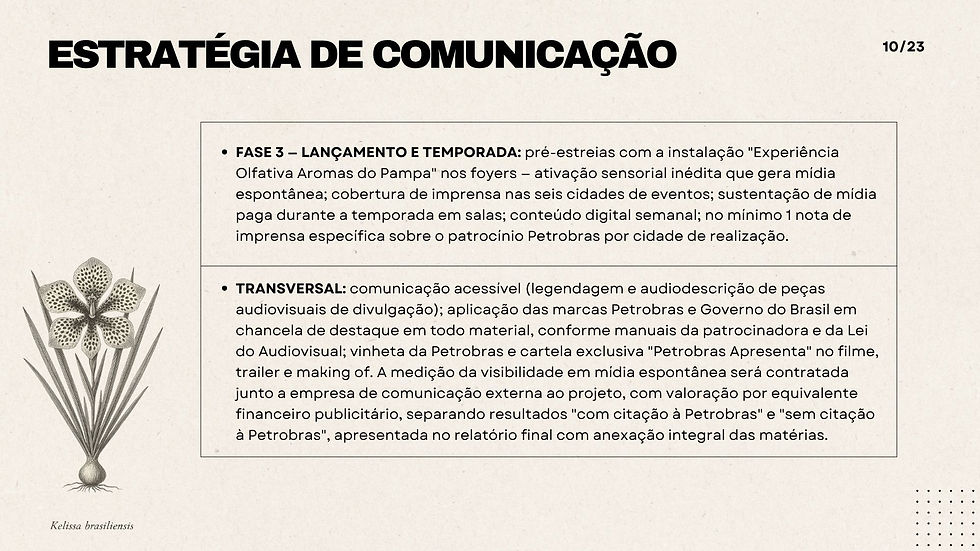 10 - ESTRATÉGIA DE COMUNICAÇÃO 2.jpg