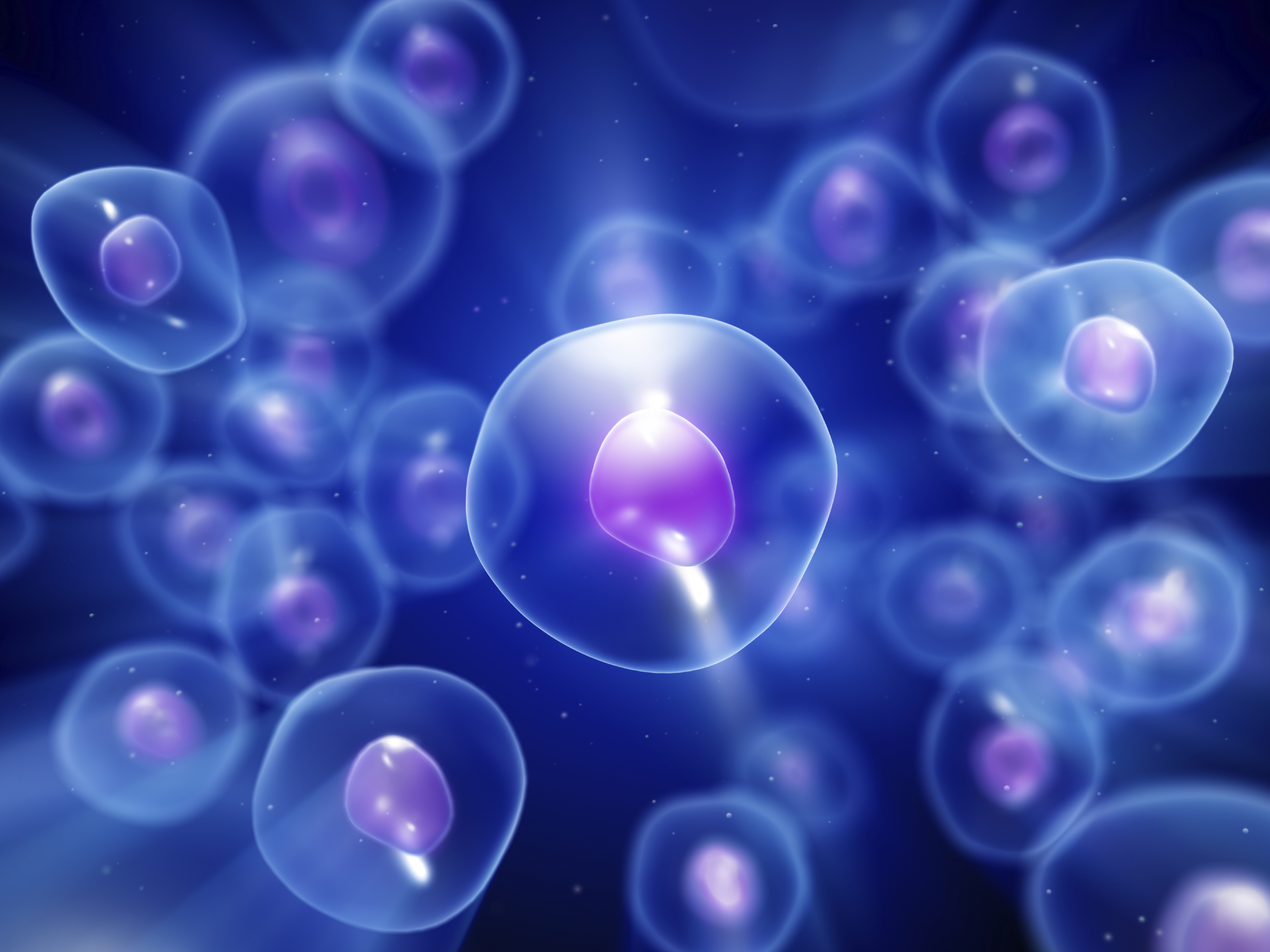 HEALTHY HAPPY CELLS