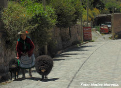 Iruya Salta.