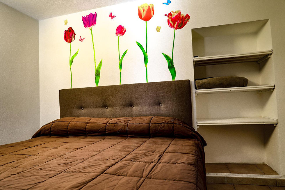 WhatsApp Image 2024-07-29 at 17.18.03 (11).jpeg