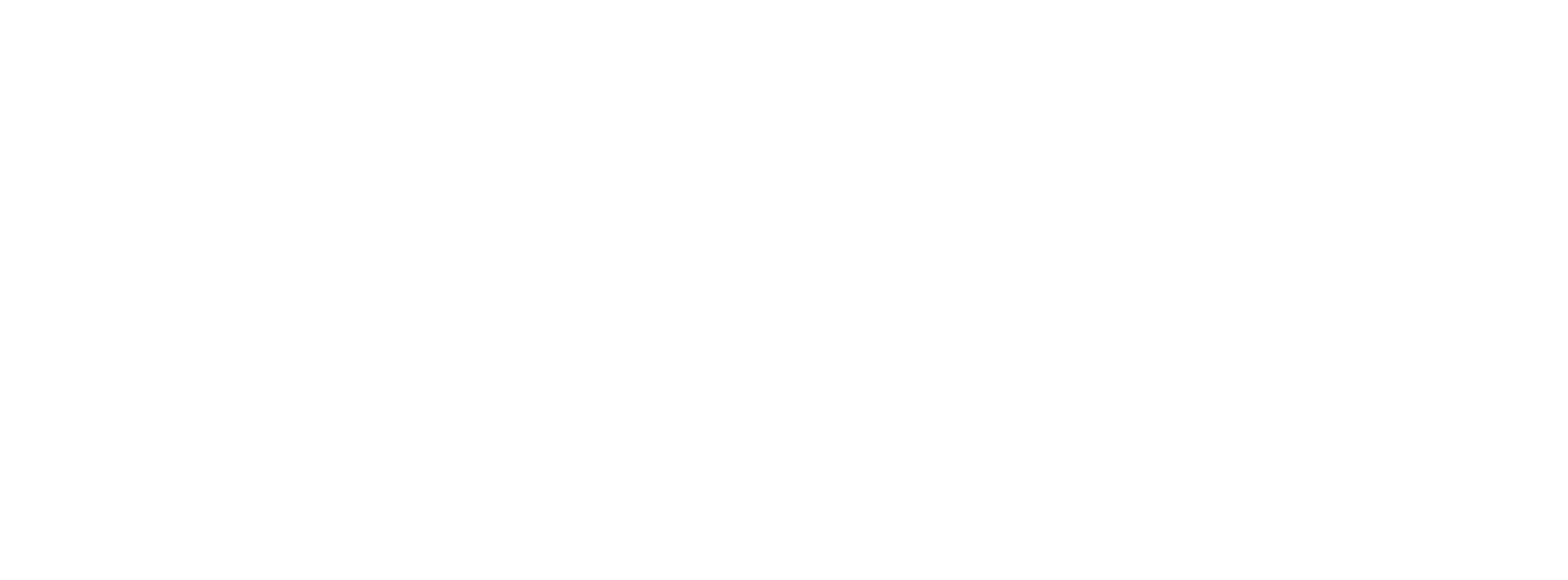 logo (1).png