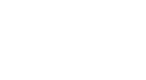 LOGO_VERBANO_VIAGGI (1).png