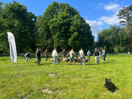 5 tips: zo haal je alles uit je teambuilding