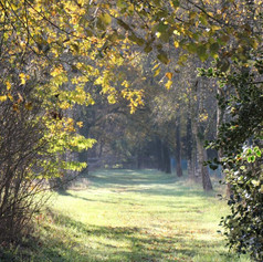 IMG_3203-683x1024.jpeg
