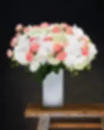 Take My Breath Away.webp