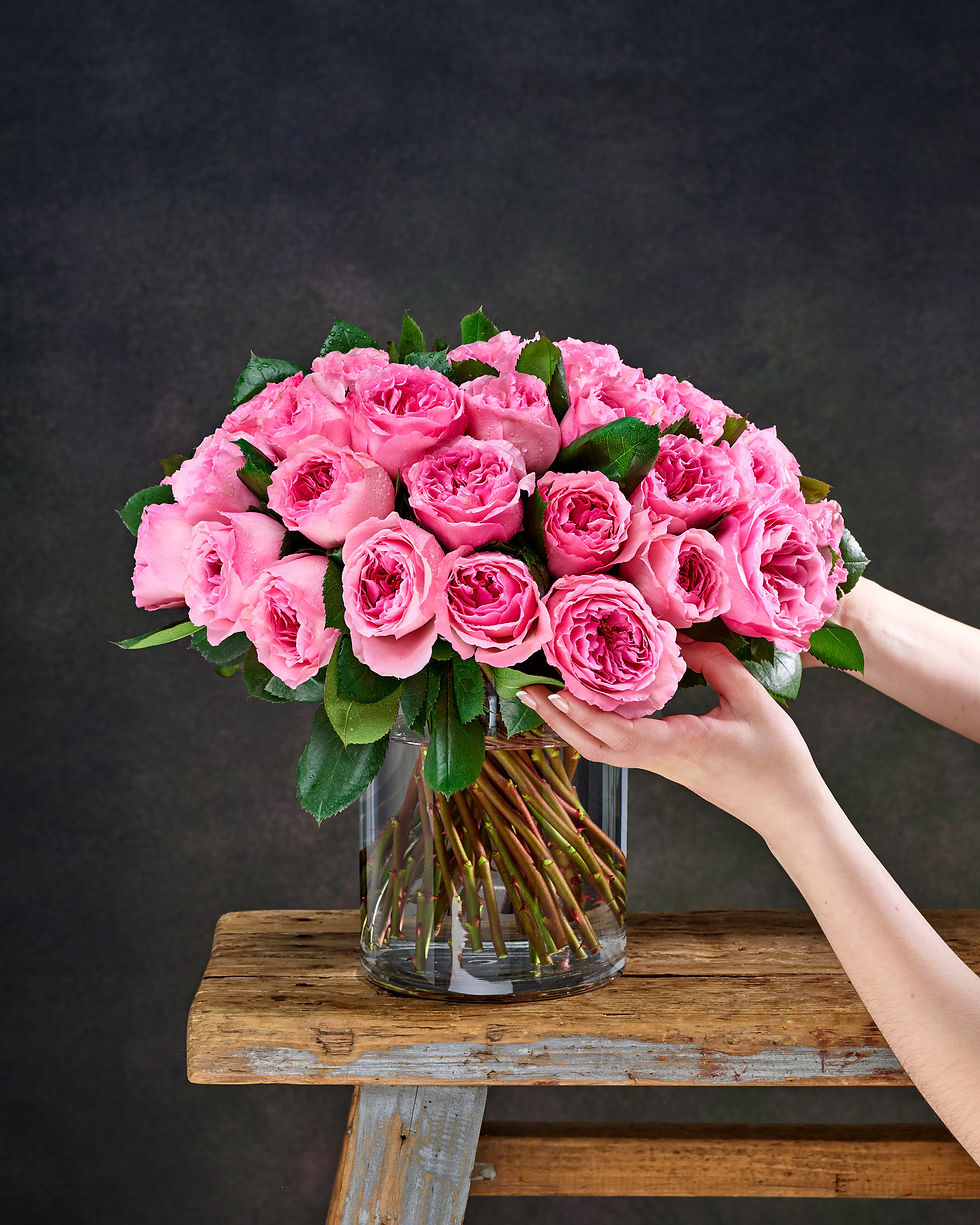 Pretty in Pink.jpg