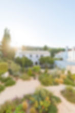 nuno almendra-1980px-1.jpg