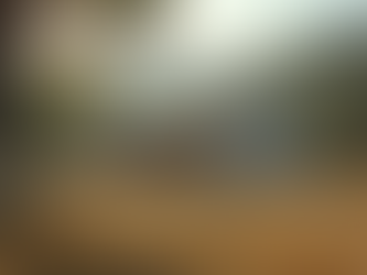 Building Community Through Art Collaborations and Retreats