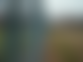 Guide to Chain Link Fence Setup