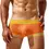 Miniatura: 1pc Men's Sexy Low Waist Underwear Trunks Boxers Shorts
