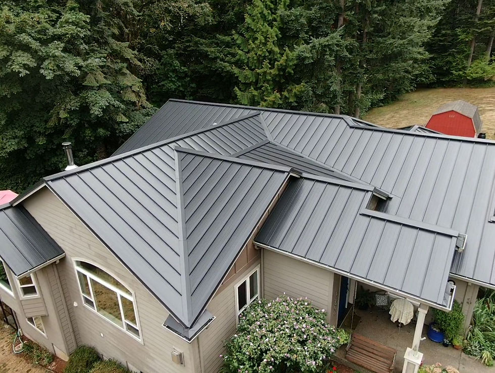 Black-Standing-Seam-La-Center-WA-.jpg