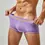 Miniatura: 1pc Men's Sexy Low Waist Underwear Trunks Boxers Shorts