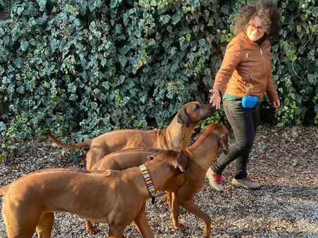 L'allevamento Shona è rispetto, conoscenza e obiettivo Benessere animale.