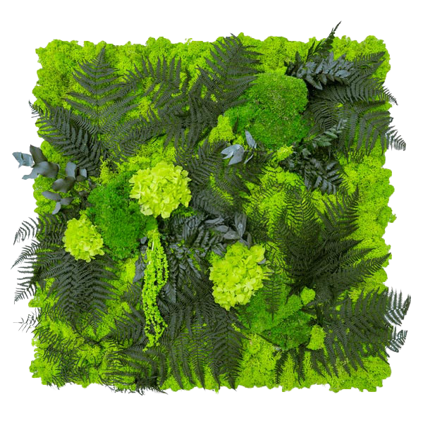 Verde #2
