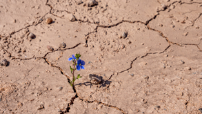 The Beginning of Resurrection