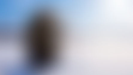 isfiske på Eina samler folk og gir penger til lokalt ungdomsarbeid