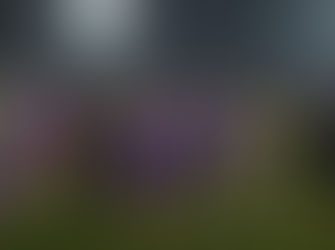 Badjies magiske minutter reddet Raufoss