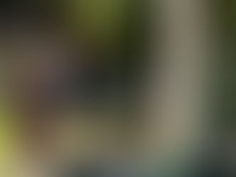 14 år siden 22. juli: Fellesskap og ettertanke på Gjøvik