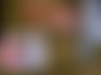 Rå og tett på elvis under premierevisningen av EPiC på gjøvik kino & scene