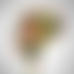 Cooking with Confidence – The Emotional and Mental HealthBenefits of Food Education