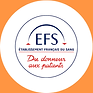 EFS.png