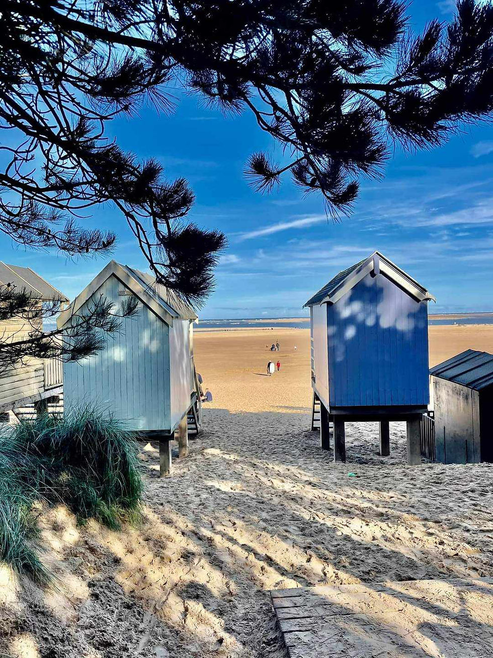 Beach huts from the pinewoods