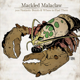 Mackled Malaclaw, Legendás állatok, összes legendás állat. fantastic beasts, all fantastic beasts, harry potter, j k rowling, Illusztráció, Szőke-Kiss Márton, szabadúszó, illusztrátor, grafikus, reklámgrafika, logó, logótervezés, Budapest, Békéscsaba